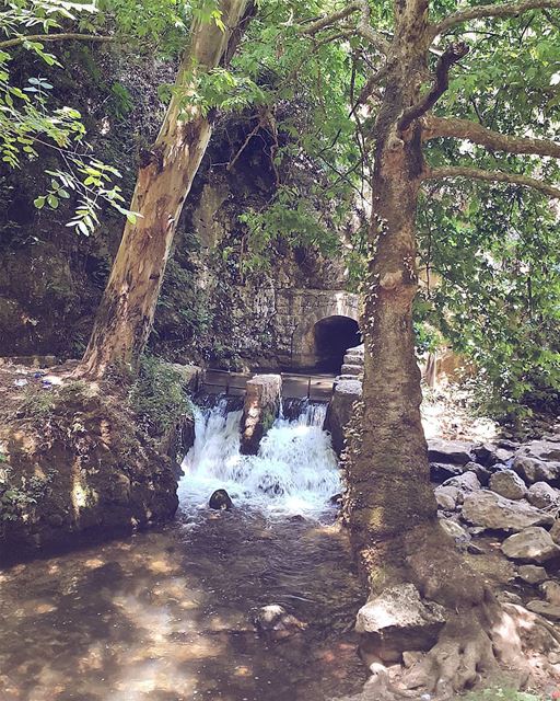 Good Morning 💚💙  lebanon🇱🇧  hiking ❤ (Koura)