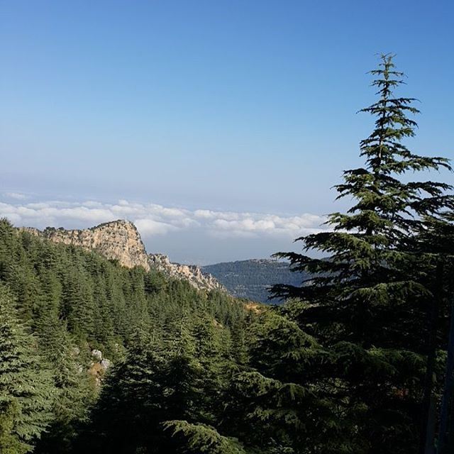 Good morning  lebanon  naturelovers  amazingview  iglebanon ...