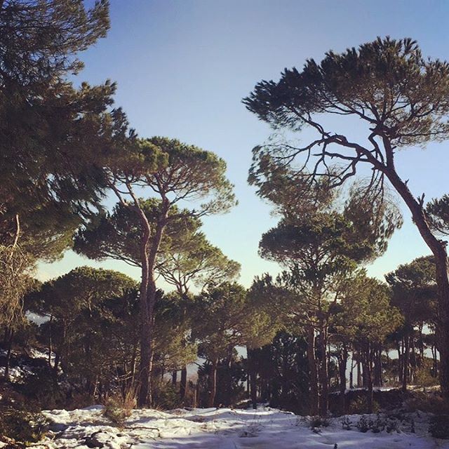 Good morning Lebanon ❤️  love  lebanon  snow  nature  lebanonspotlights ... (Naas - Bekfaya)