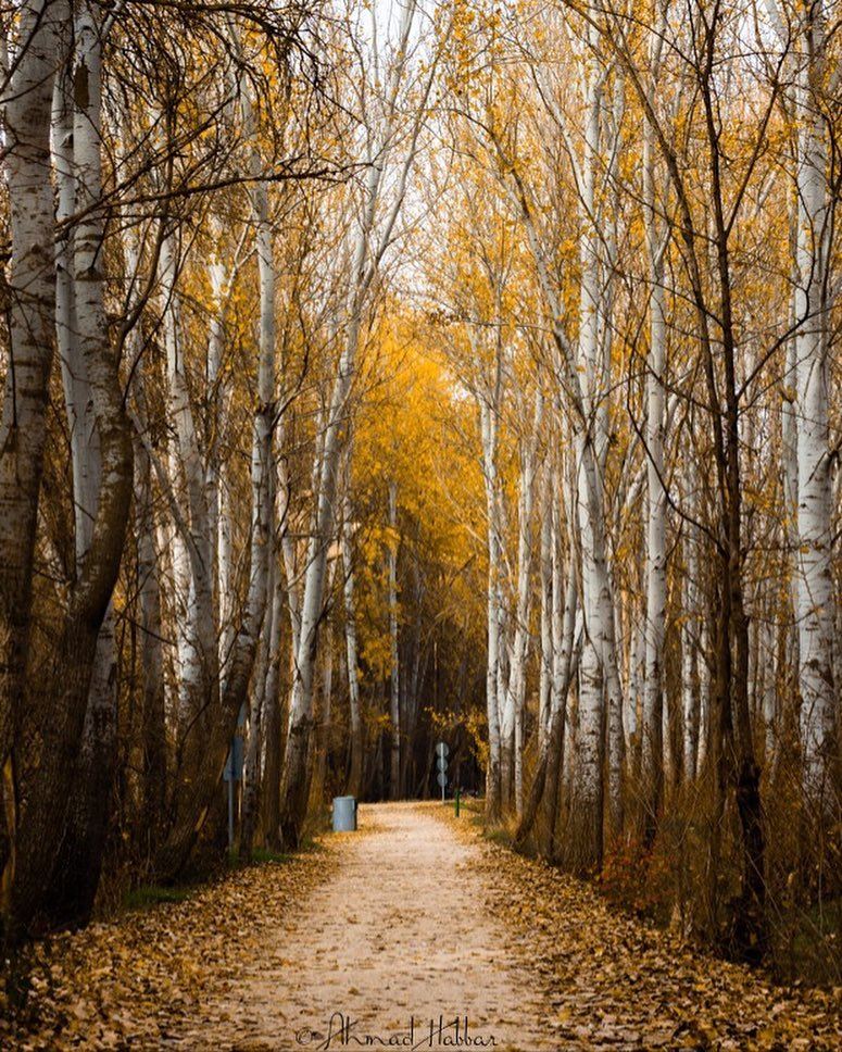 Good morning 🍂 livelovebekaa  lebanon  wearelebanon  insta_lebanon ... (Deïr Taanâyel, Béqaa, Lebanon)