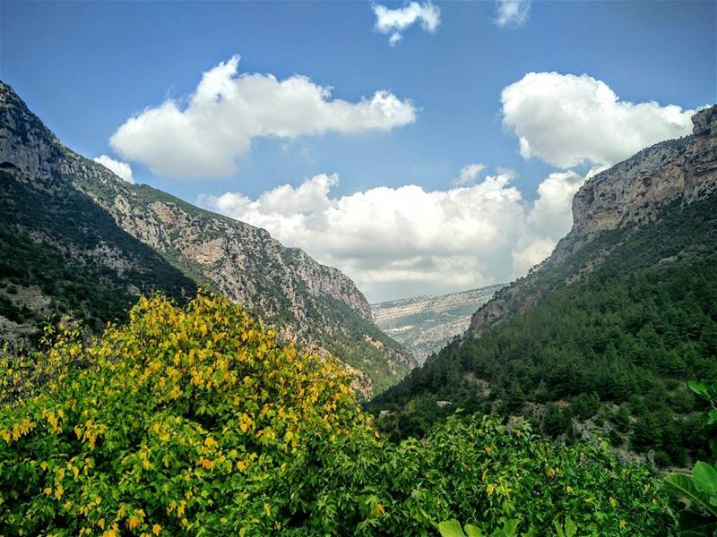 Good Morning 🌞 morning sunshine summer north lebanon livelovelebanon... (Ouâdi Qannoûbîne, Liban-Nord, Lebanon)
