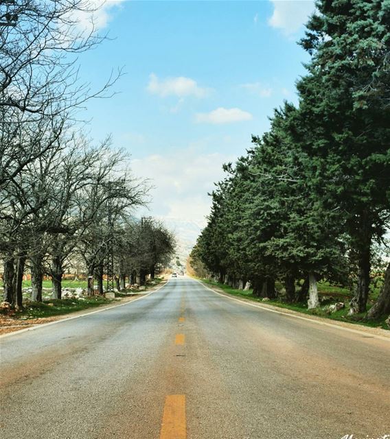 Good morning 😊..................................................... ... (West Bekaa)