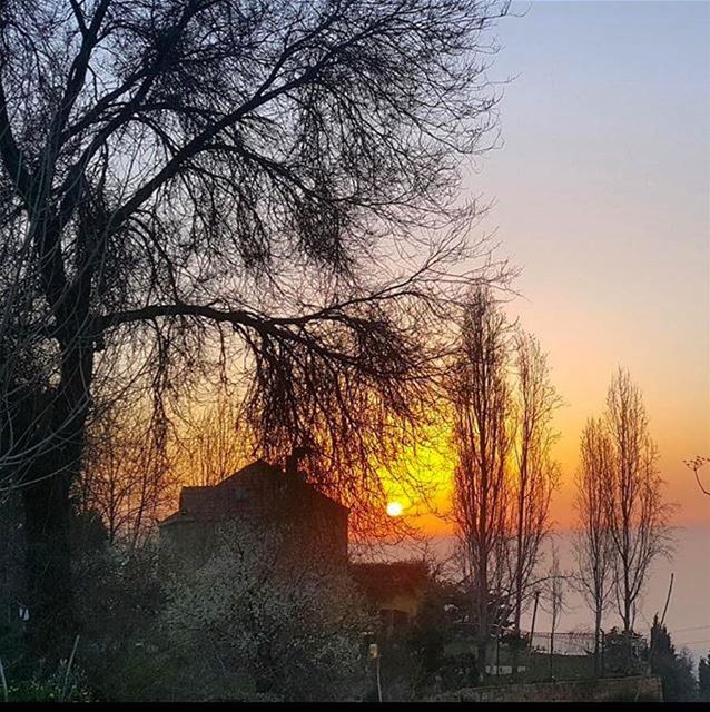 Good Night from Chemlane - Mount Lebanonتصبحون على خير من شملان Photo... (Chemlane, Mont-Liban, Lebanon)