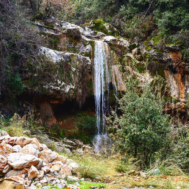  goodmorning  Lebanon  whatsuplebanon  ig_lebanon  insta_lebanon ... (Torza)