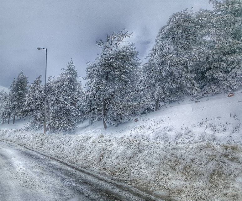  goodmorning  tbt  snow  snowy  trees  freezing  roadtrip  lebanon ... (Dahr Al Baidar)