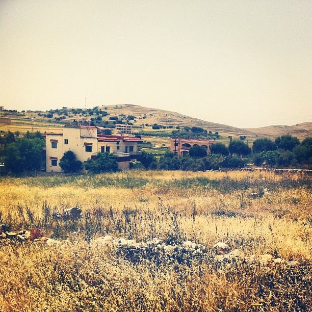 Grass is drying. Summer is right around the corner...