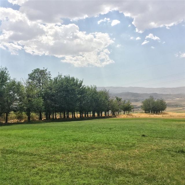 Green... (Baalbek District)