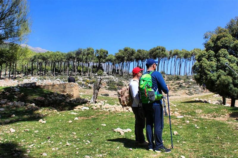  green lebanese forest  hiking livelovebekaa  whatsuplebanon ... (Aâna, Béqaa, Lebanon)