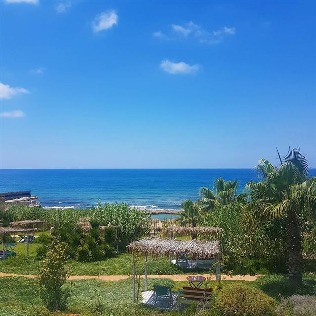 Green.. lebanon  beach  summer  sun  sea  nature  liban  libano  travel...