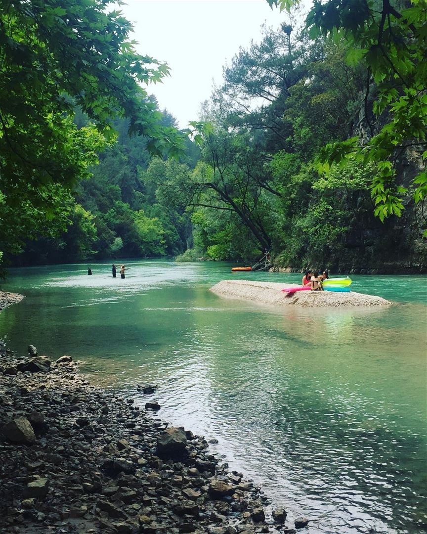 Green..... lebanon  beirut  vscocam  beautifuldestinations ... (Chouwen)