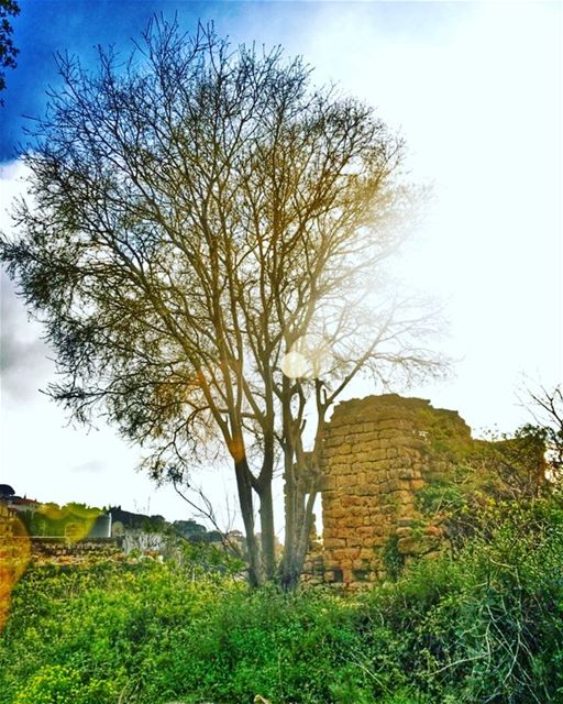 🍀Green Spring 🌞🌿 (Abey, Mont-Liban, Lebanon)