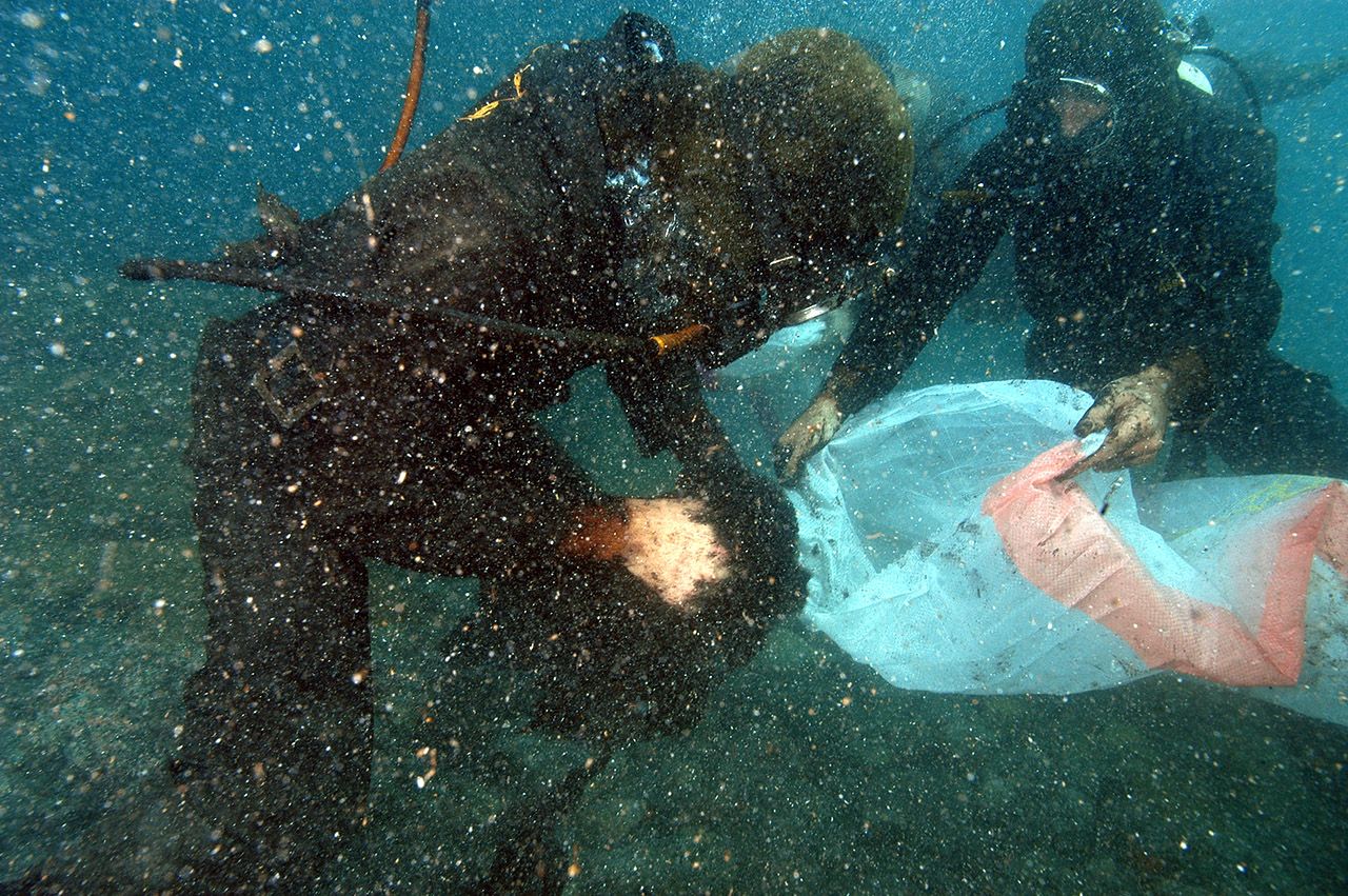 Greenpeace Cleaning the Sea After the War