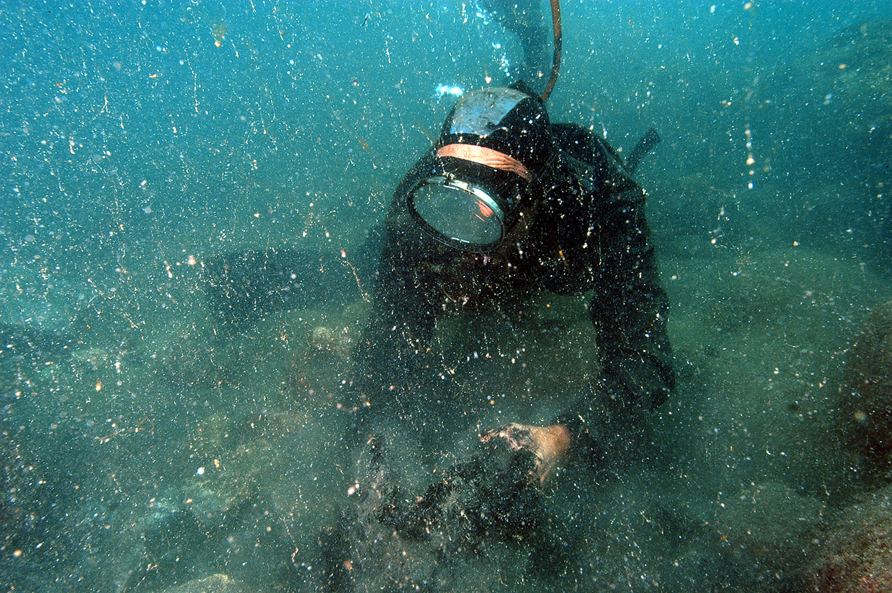 Greenpeace Cleaning the Sea After the War