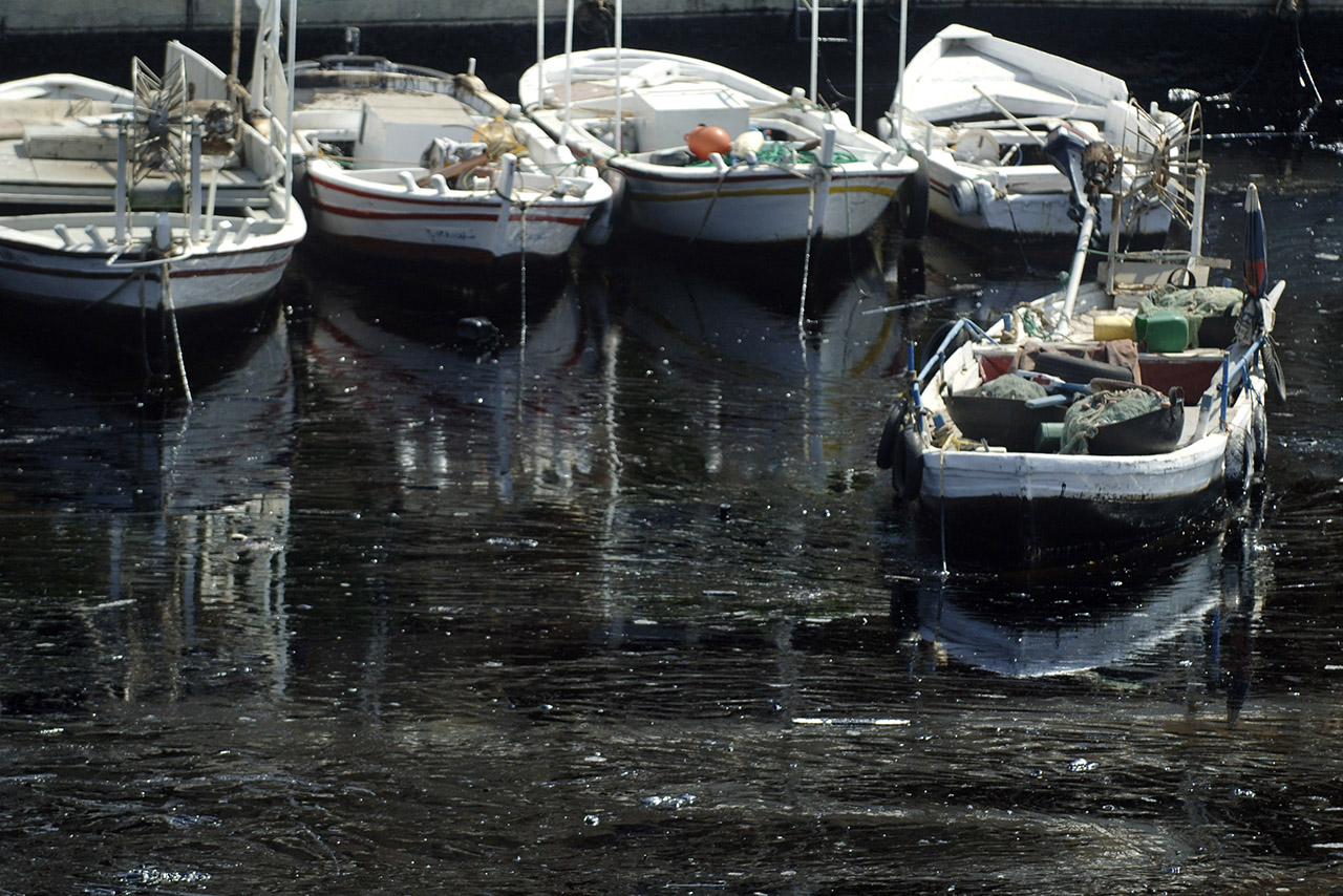 Greenpeace Cleaning the Sea After the War