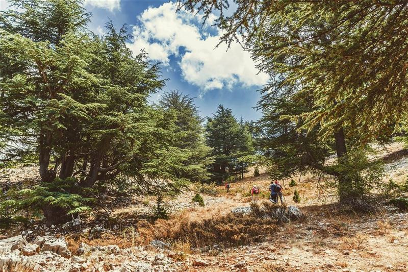 Hadath el Jebbe - Tannourine, Lebanon  lebanon  hiking  nature  outdoors ... (Hadath El-Jubbah, Liban-Nord, Lebanon)