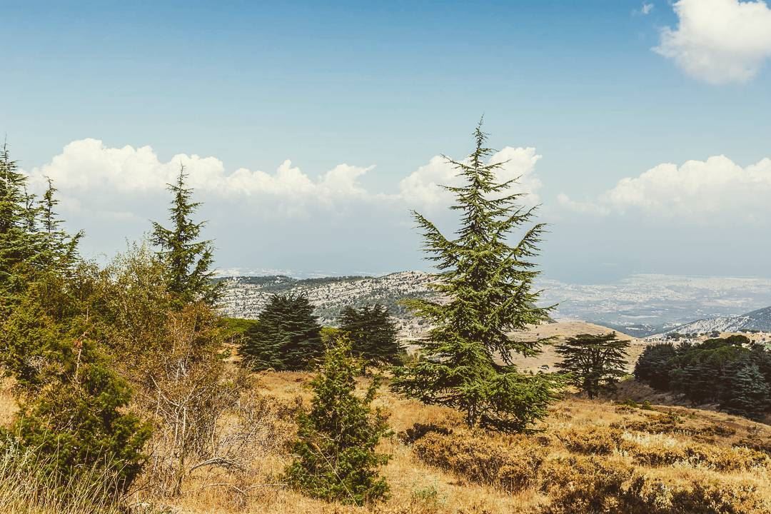 Hadath el Jebbeh, Lebanon __________________________________________... (Hadeth El Joubbe, Liban-Nord, Lebanon)