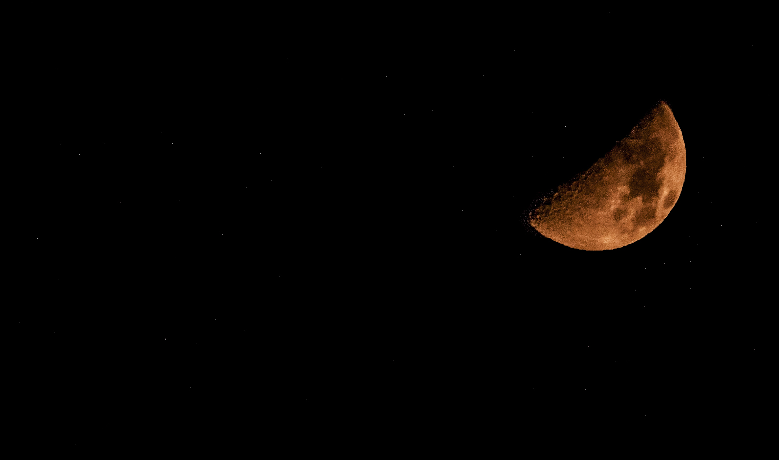 Half Moon Tonight