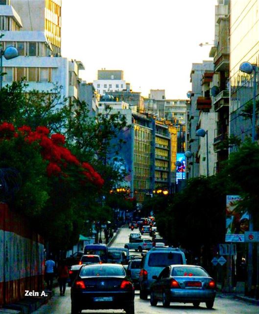 Hamra @ 7 pm good  evening  hamra  street  cars  trees  sunlight  sunset ... (Hamra street , Beirut - شارع الحمرا ، بيروت)