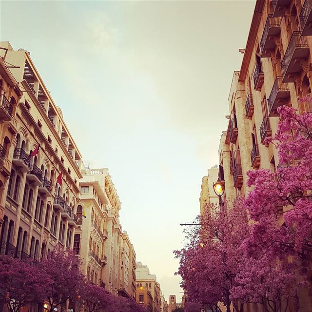 Happiness is not something readymade.  It comes from your own actions. –Dal (Downtown Beirut)