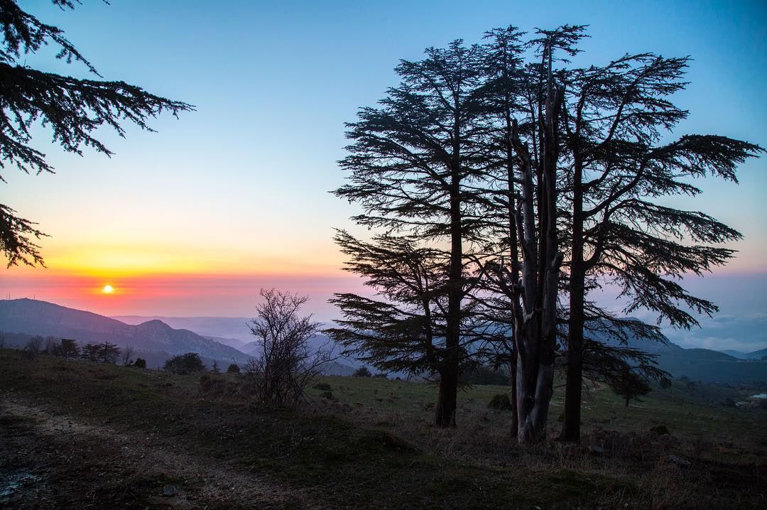 Happiness, not in another place, but this place. My sunset at tannourine... (Tannourine Cedars Nature Reserve)