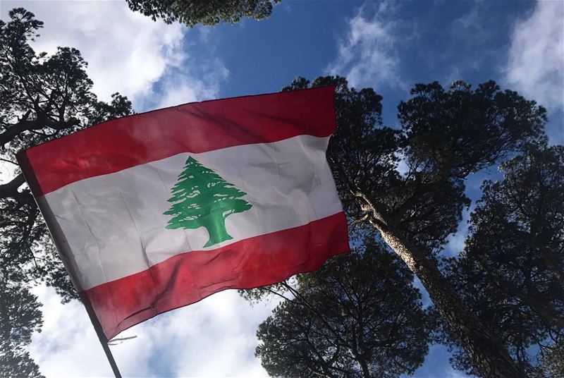 Happy Independence Day our beloved Lebanon!🇱🇧❤️ LebanonIndependenceDay ...