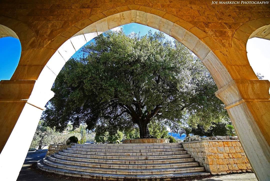 Happy Sun-Day🙂  architecture  tree  architecturelovers  sunnyday  lebanon... (El Azra)
