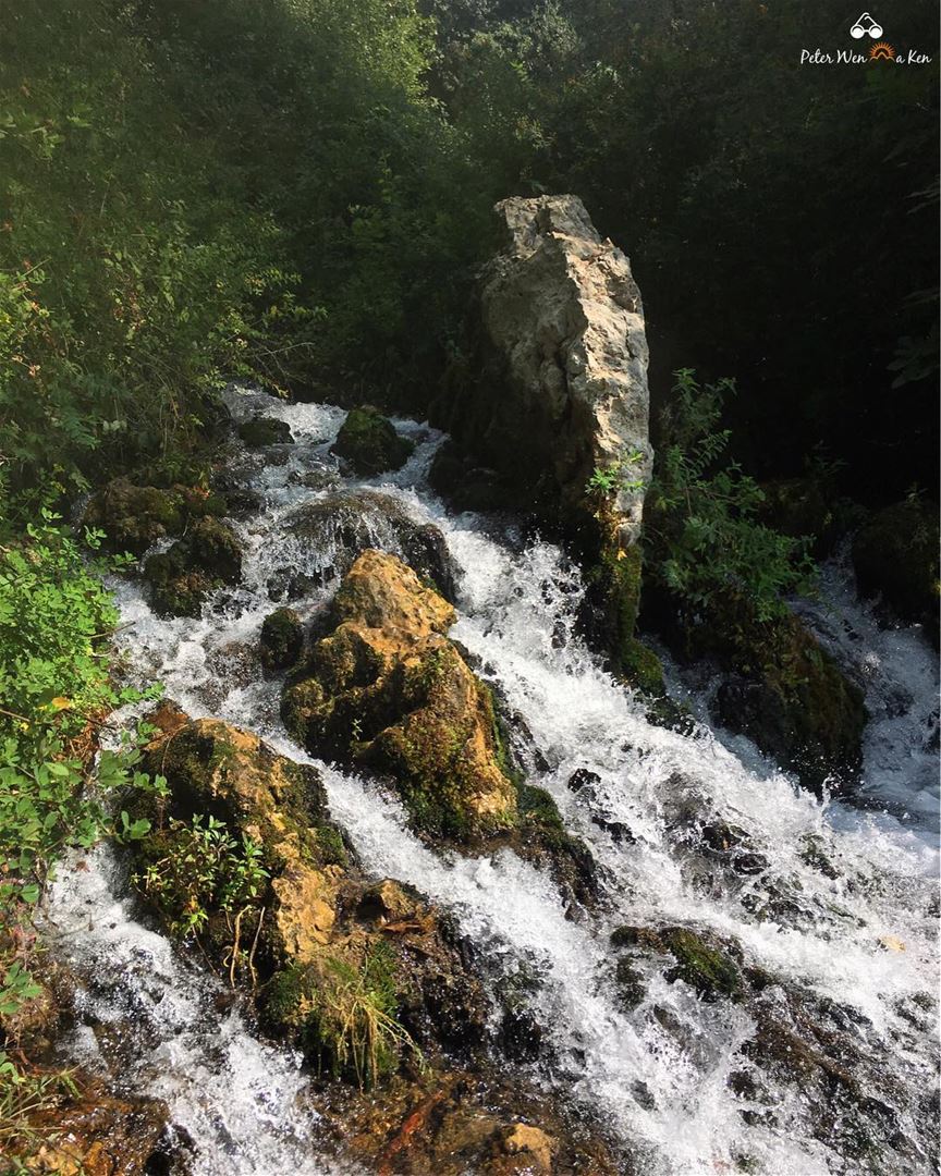 Happy Sunday Everyone 🏞  peterwenmaken  livelovetours ... (Nab` As Safa, Mont-Liban, Lebanon)