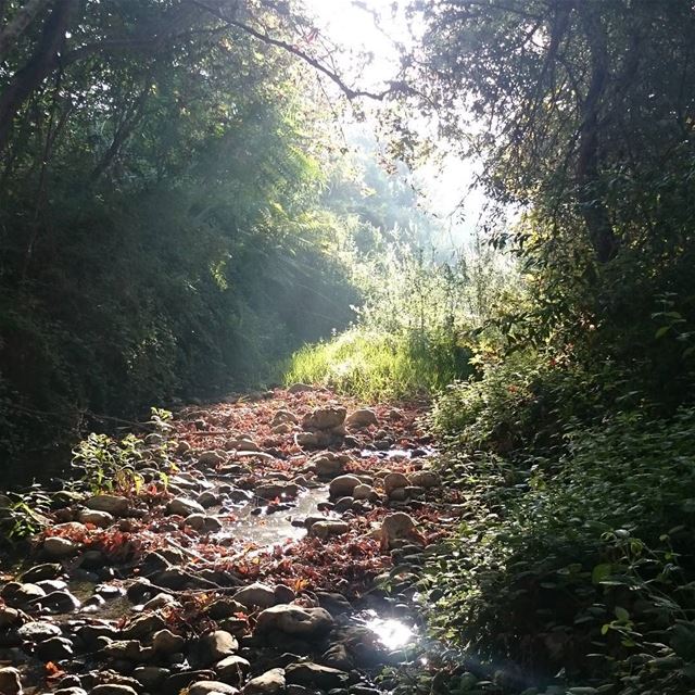 Hasbaya river