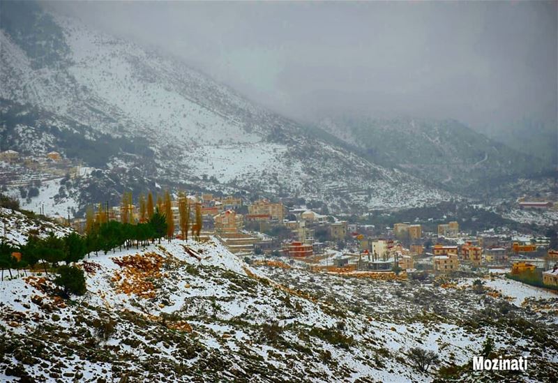 Have a nice day dear friends 💞💞 ========================================= (Kfar Hoûné, Al Janub, Lebanon)