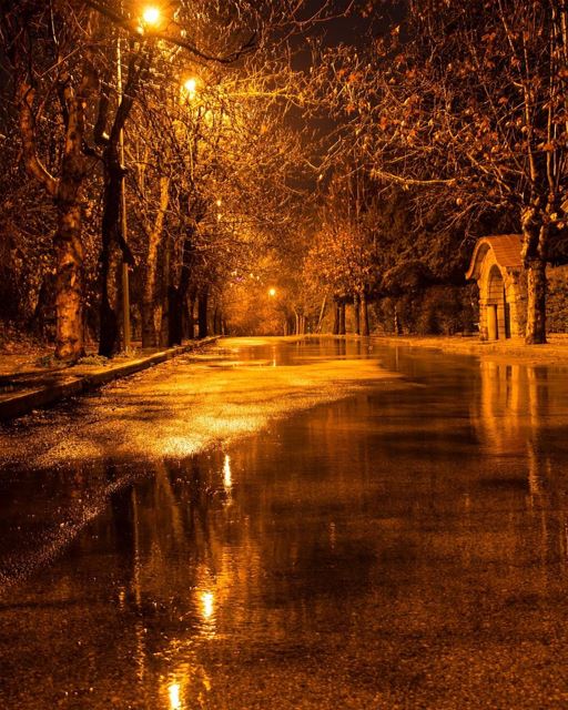 Have a warm night ✨.... photography photographer photooftheday... (Sawfar, Mont-Liban, Lebanon)
