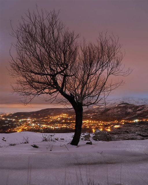 Have a warm night ✨.... photography photographer photooftheday... (Sawfar, Mont-Liban, Lebanon)