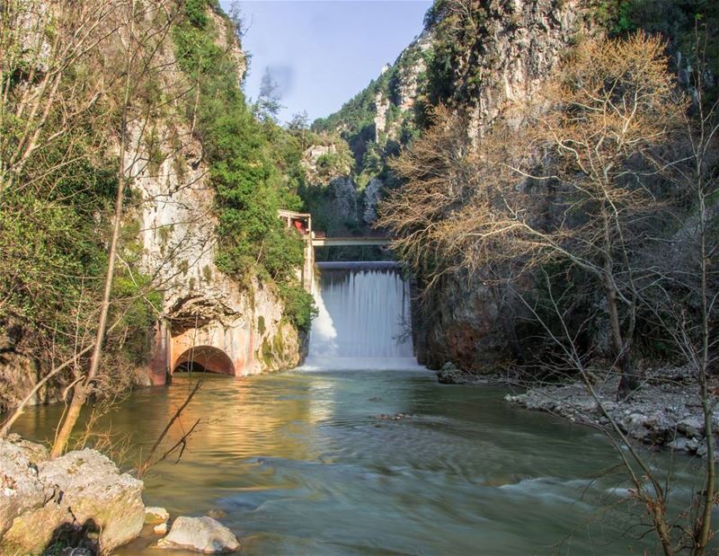 🍃🍃..... hdr hdrphotography nature naturephotography... (Chouwen)