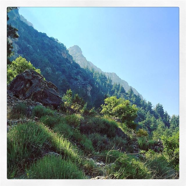  Heaven in a  Valley ...  livelovelebanon  bcharre  livelovebeirut ... (Wadi Qannubin, Liban-Nord, Lebanon)