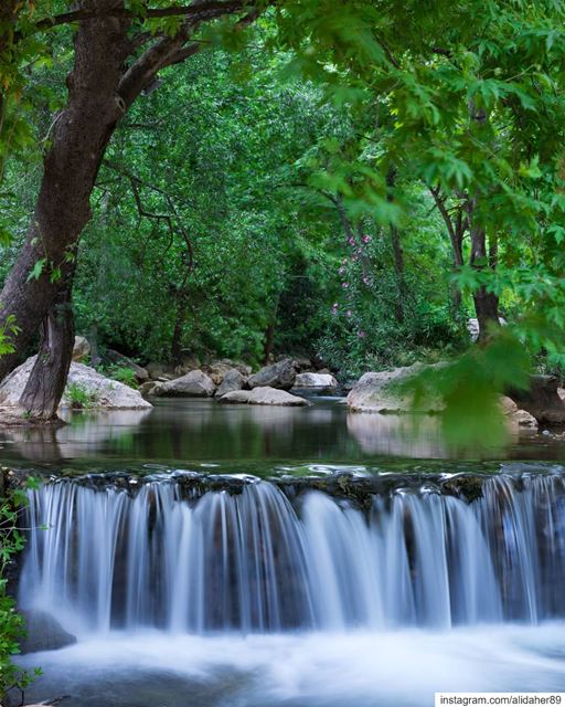 Heaven 💚....... landscapephotography naturephotography... (Nabatîyé)