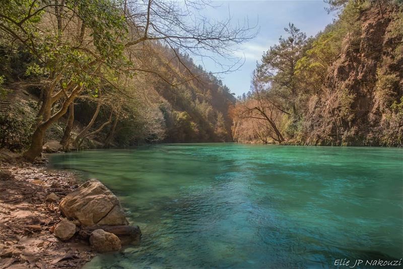 Heaven.. nikon  photography  picture  sigmaart  hiking  day  weekend ... (Chouwen)