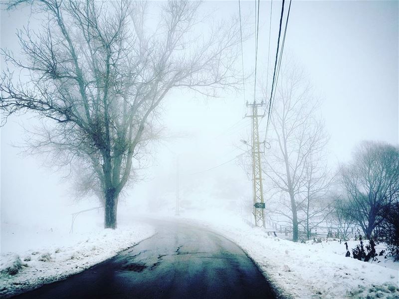 Heavenward  close  lebanese  winter  landscape  lebanon  livelovelebanon ... (Faraya Mzaar)