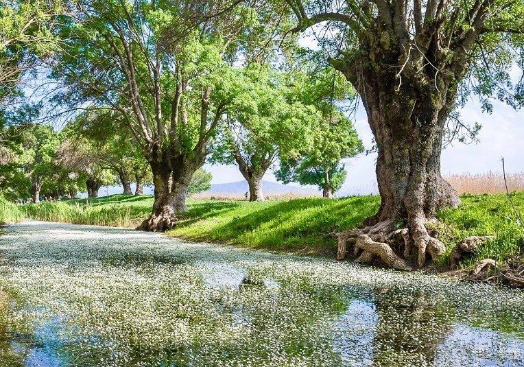 Heik We Hike with SANE LEBANON  WalkWithNature 👣 🍃 Photo by : 📷: @danie (Beqaa Governorate)