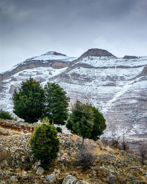 Hello winter. Beautiful snow covered mountains of Hadath El Jebbeh -... (Tannourine El Faouka)