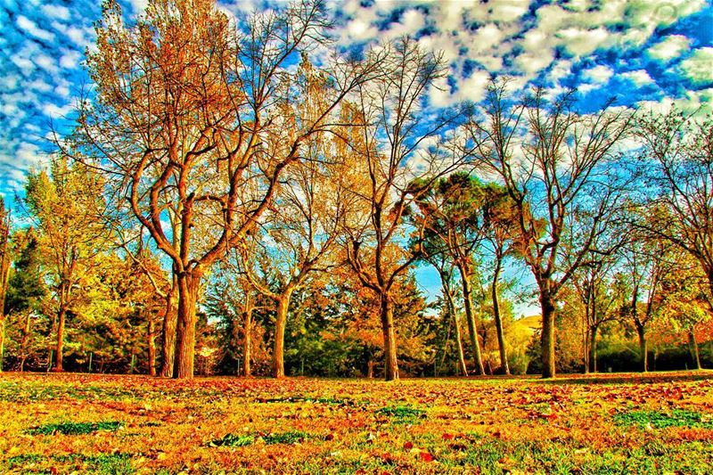 Hellooo  October !! 😍🍁... HelloOctober  autumn  nature  naturelove ... (Donna Maria Sursock Gardens)