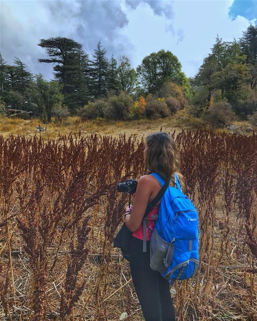 Her bag is full of my snacks😋 (Horsh Ehden)