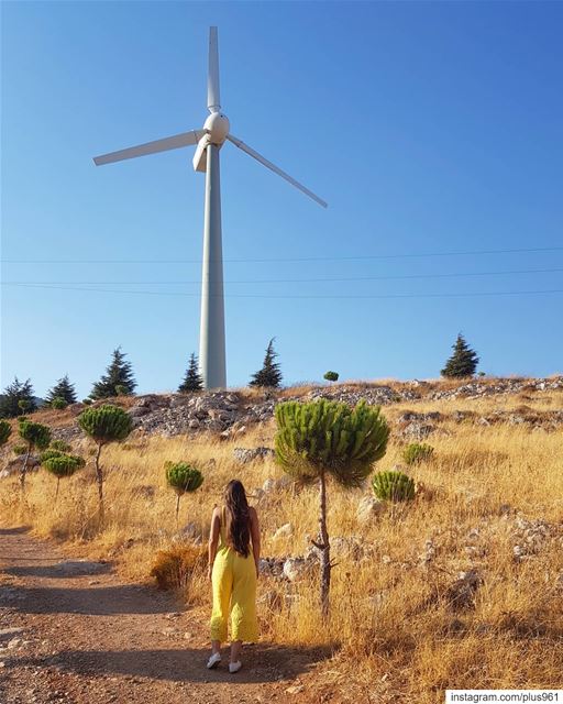 Her biggest fan 🌾 (West Bekaa)