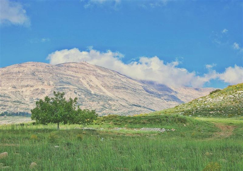 'here Adam, have some fruits...'''' photography  photographyislife ... (Qanat Bakish, Mont-Liban, Lebanon)