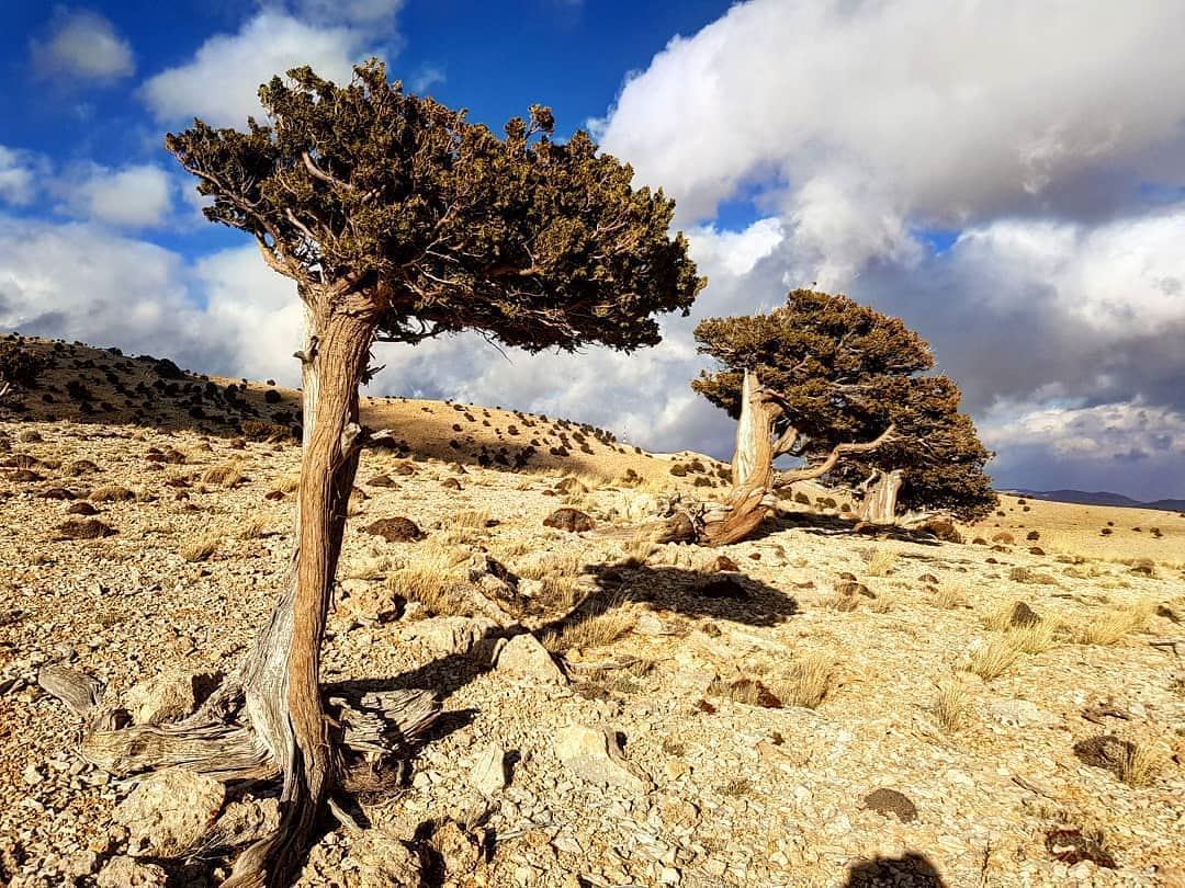  Hermel  mountain by @louayac Hermel  hermel_city  bekaa ... (El Hermel, Béqaa, Lebanon)