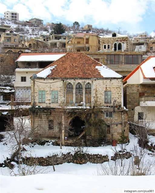 Hey good lookin' ❄ (Lebanon)