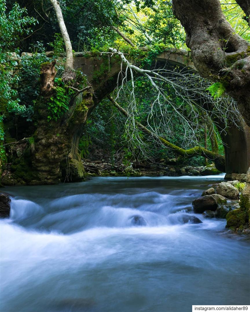 Hidden beauty 🏞....... landscapephotography naturephotography... (Chouf)