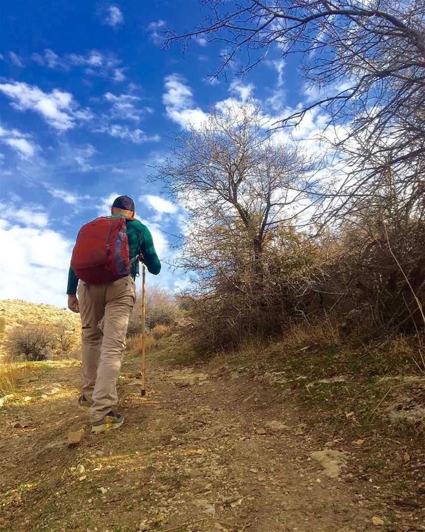  hiker  hikingadventures  autumn  hiking  sky treescape  lebanese_nature ... (Sawaki - Meziara)