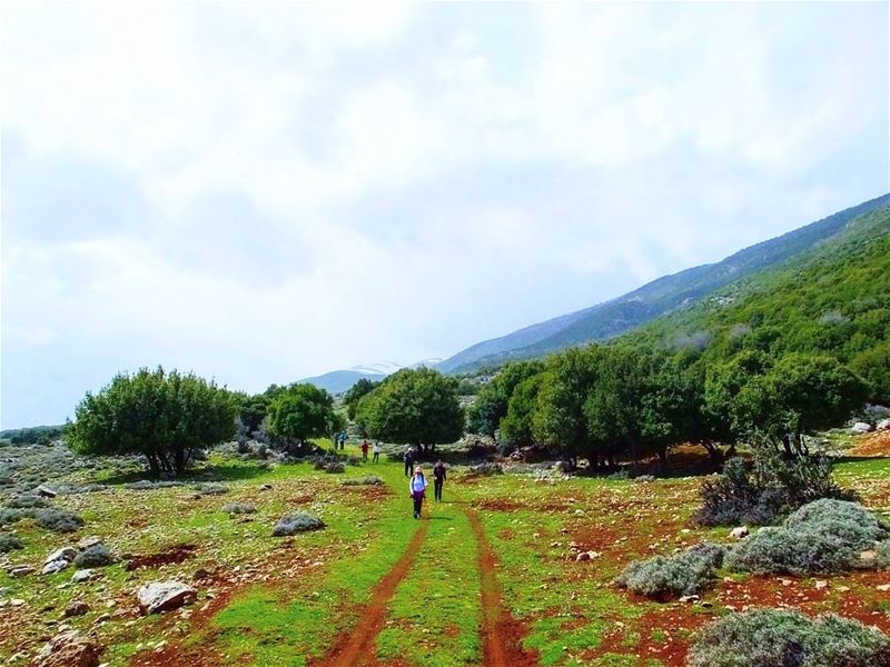  hiking  explorelebanon  picoftheday  livelovelebanon  naturephotography ... (`Ammiq, Béqaa, Lebanon)