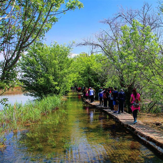  hiking  explorelebanon  picoftheday  livelovelebanon  naturephotography ... (`Ammiq, Béqaa, Lebanon)