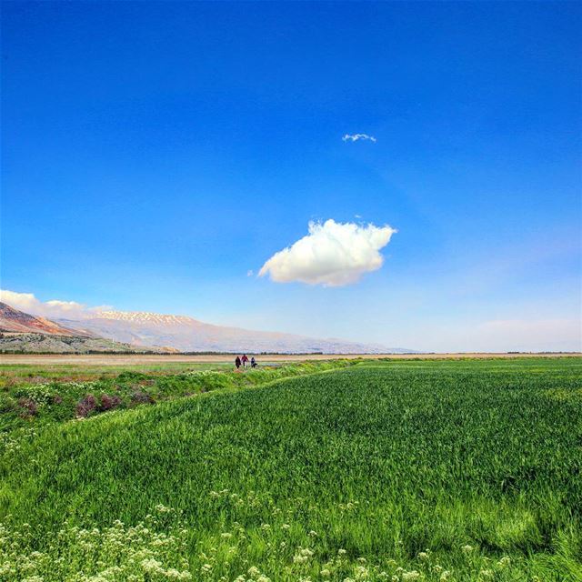  hiking  explorelebanon  picoftheday  livelovelebanon  naturephotography ... (`Ammiq, Béqaa, Lebanon)