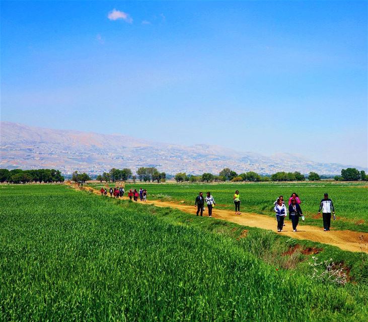  hiking  explorelebanon  picoftheday  livelovelebanon  naturephotography ... (`Ammiq, Béqaa, Lebanon)